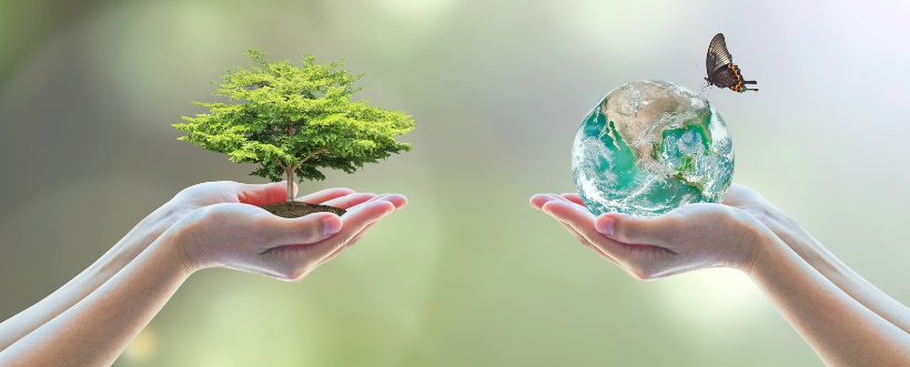 Curso de Prevención de riesgos ambientales