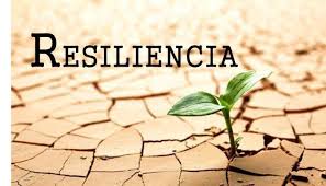Curso de Vencer la adversidad con resiliencia