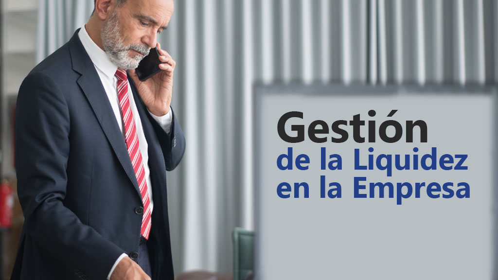 Curso de Gestión de la liquidez en la empresa